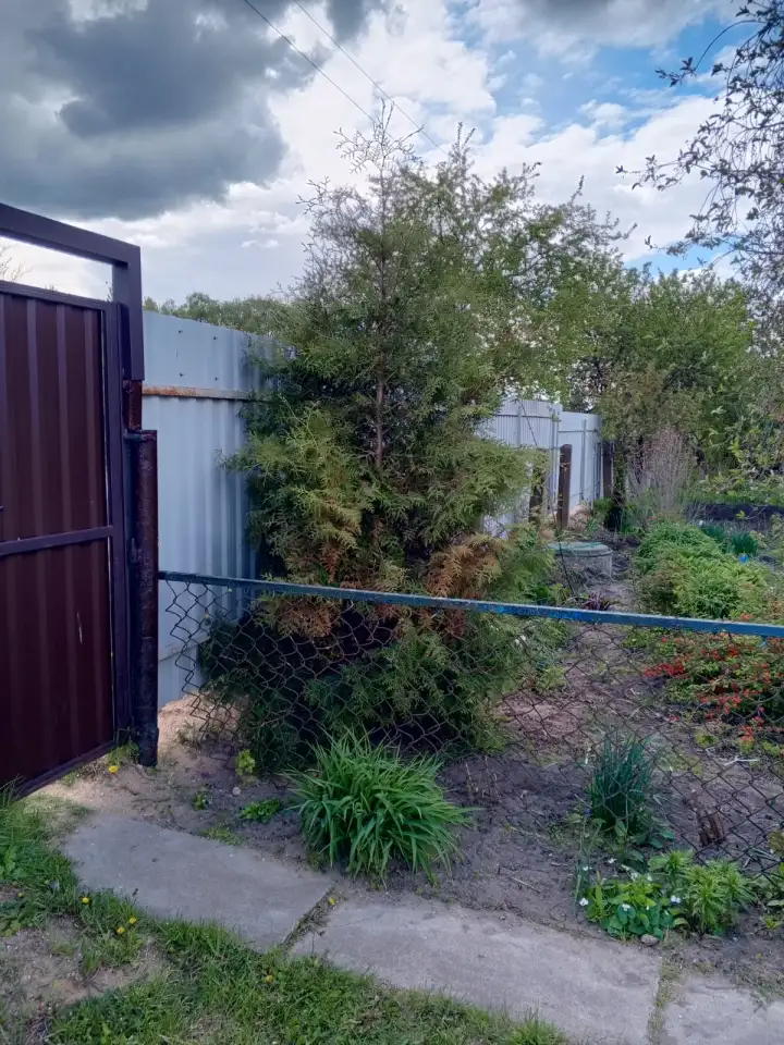 Продам дом, а/г Горки, ул. Центральная, д. 37 Б, фотография 10