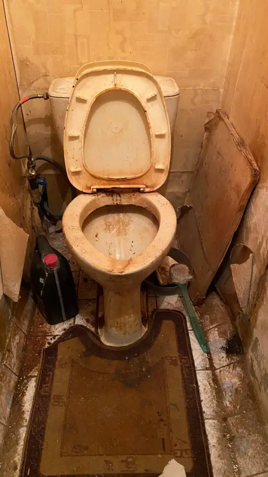 Клининговые услуги. Химчистка автомобилей., фотография 1