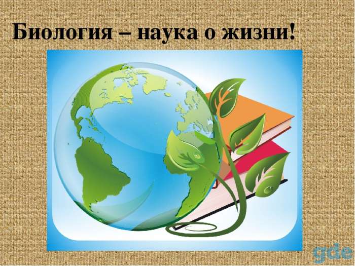 Репетиторство по биологии в Борисове, фотография 1