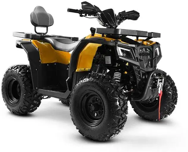 Квадроцикл Progasi RaceJumper 200 (к-т з/ч), фотография 7