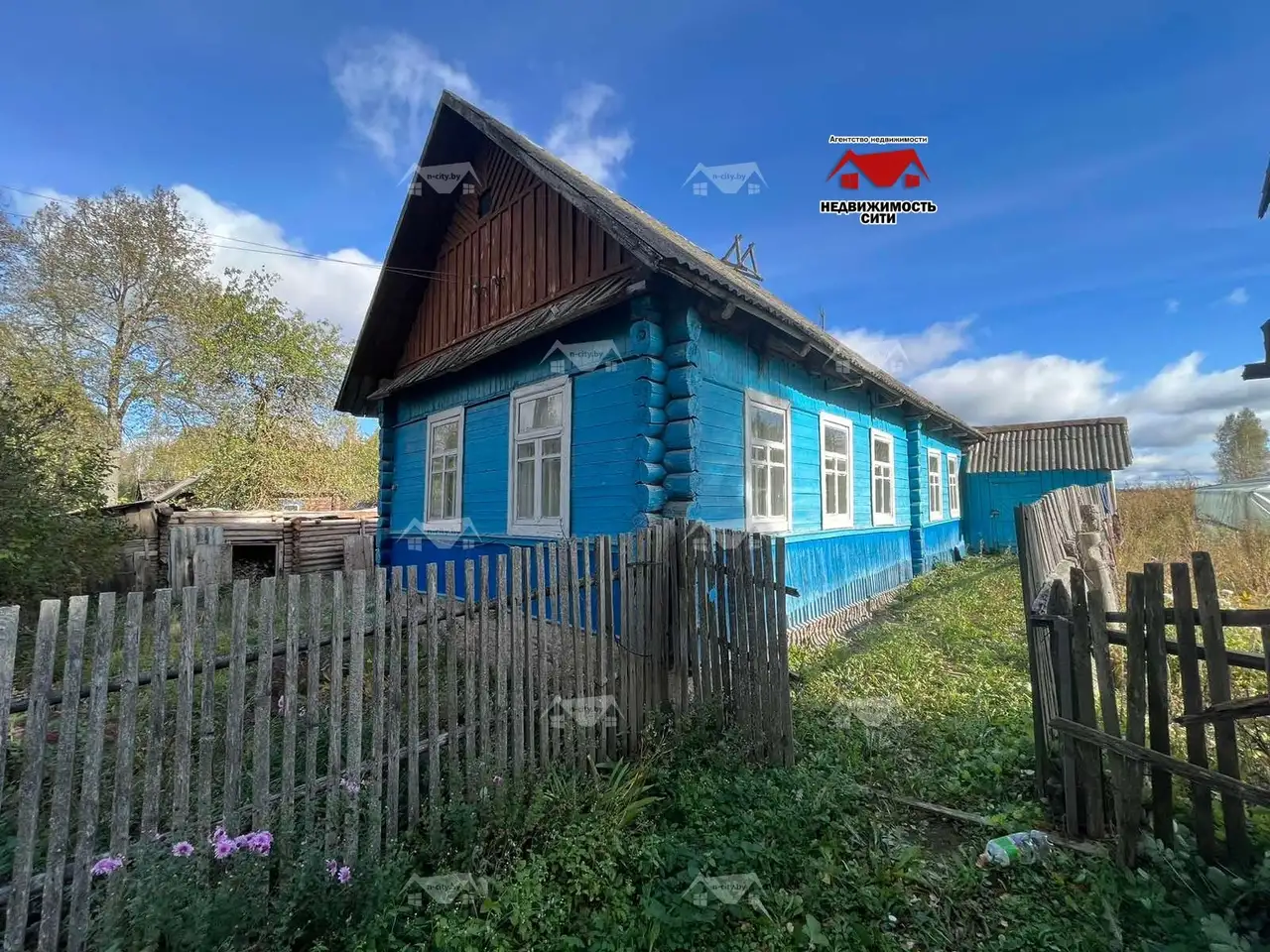 Жилой дом в д.Александрово,42 Чаусский р-н, фотография 1