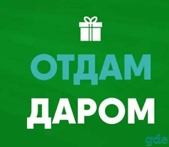 Одежда, обувь и игрушки ДАРОМ, фотография 1
