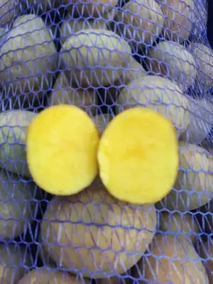 Овощи, фотография 1