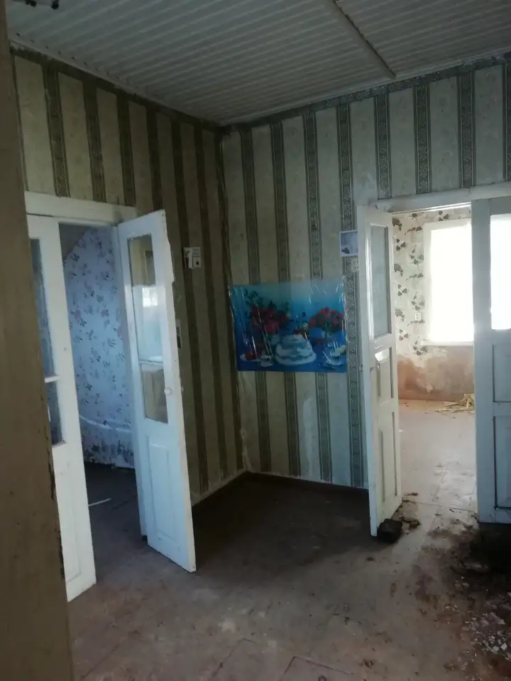 Продам участок с домом, Г.. Жлобин, ул. Пушкинская 28, фотография 8