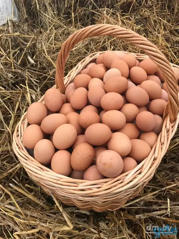 Яйцо куриное Фермерский продукт, фотография 1