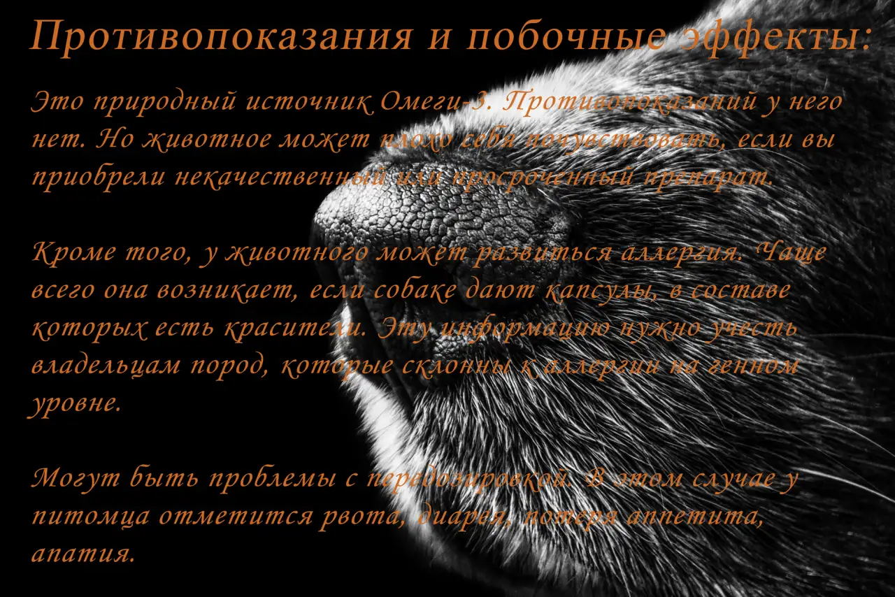 Рыбное масло из семейства лососёвых рыб, фотография 9