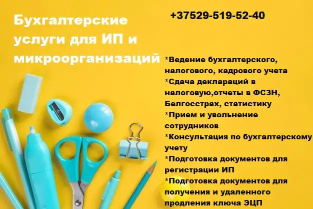 Бухгалтерские услуги для ИП и микроорганизаций, фотография 1