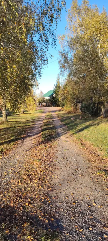 Продажа жилого дома в живописном месте с видом на лес, фотография 3