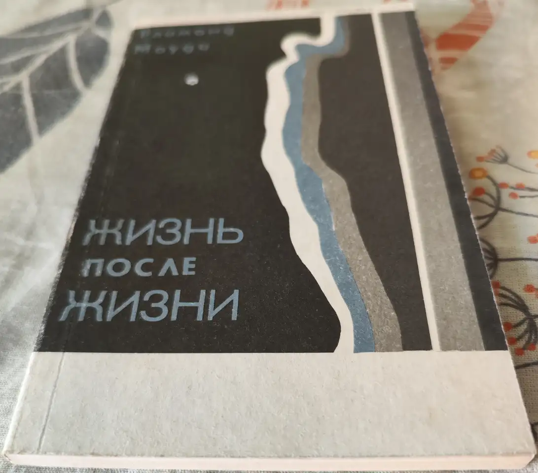 Жизнь после жизни Рэймонд Моуди, фотография 2