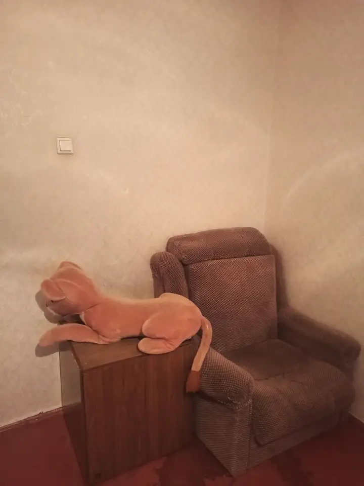 Сдача квартиры, пр-т Победы 4, фотография 1