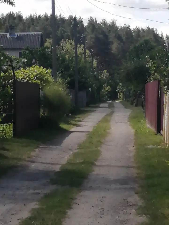 Дача, Тельминский с /с, Ст Берёзка Ст8, фотография 2