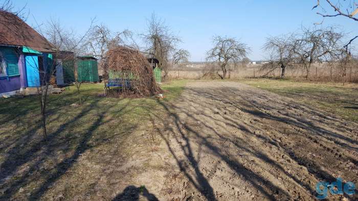 Продам дом в д.Остров, Рогачевский р-н, фотография 5