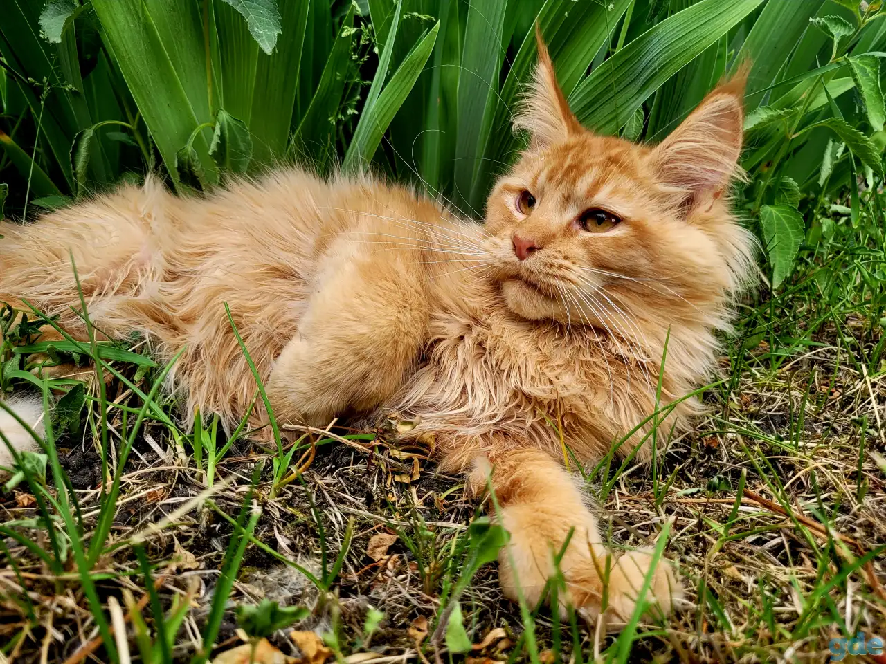 Продажа, фотография 2