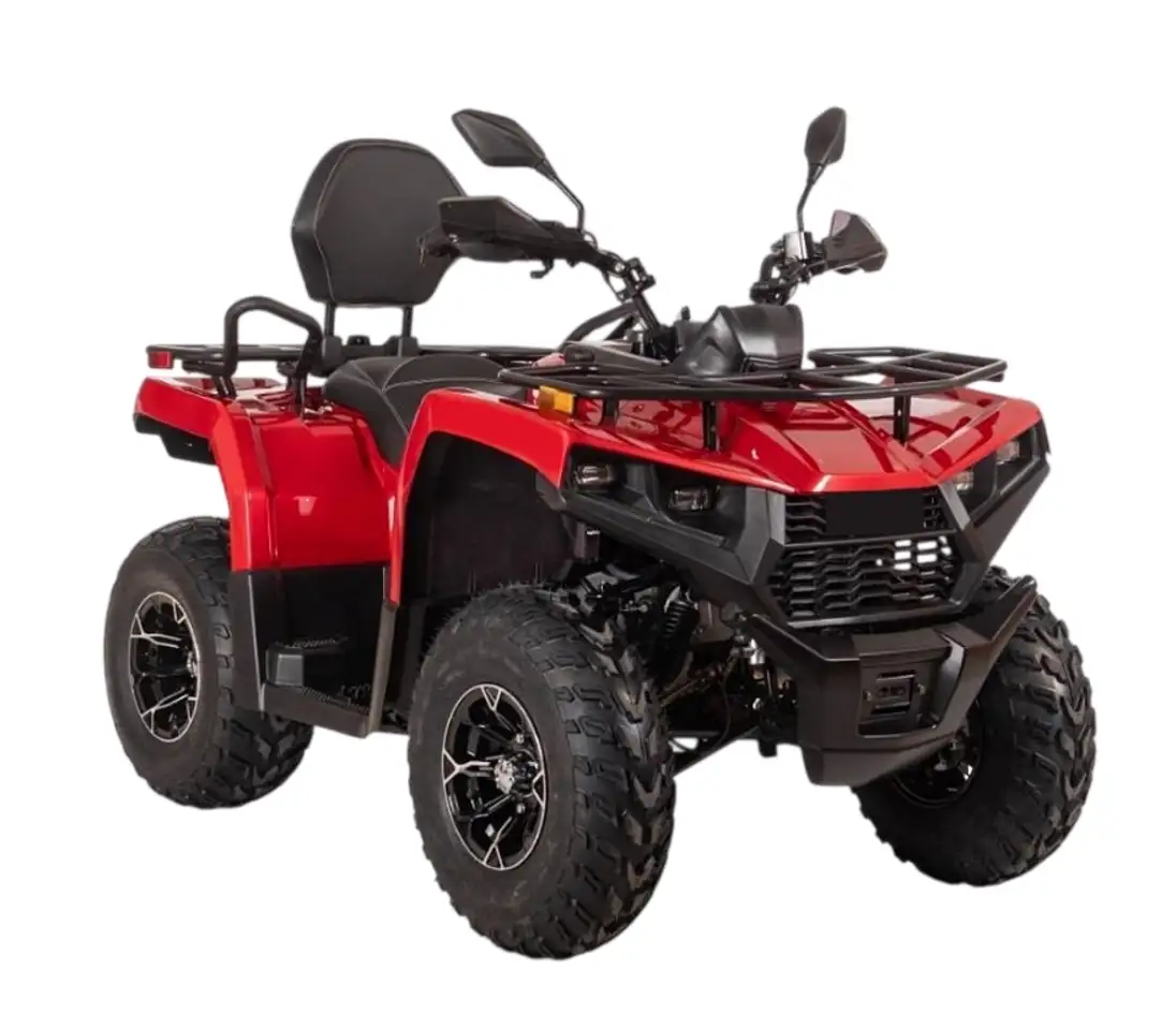 Квадрицикл bizon yk250 lux efi, фотография 2