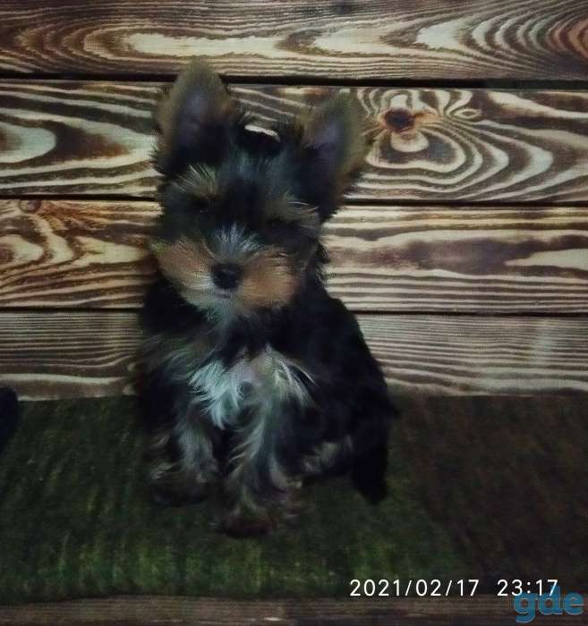 Продажа, фотография 1