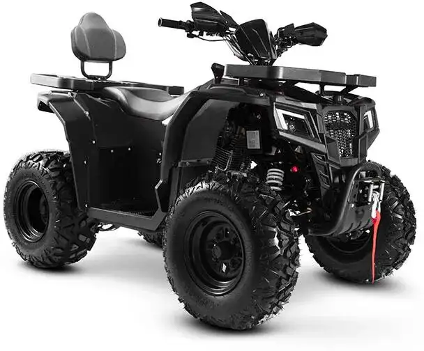 Квадроцикл Progasi RaceJumper 200 (к-т з/ч), фотография 12