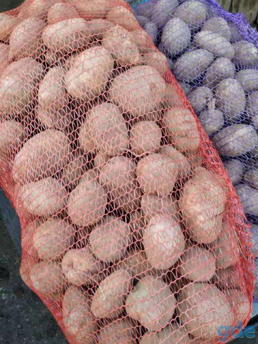 Отличный картофель к Вашему столу! Продам по выгодной цене, фотография 2