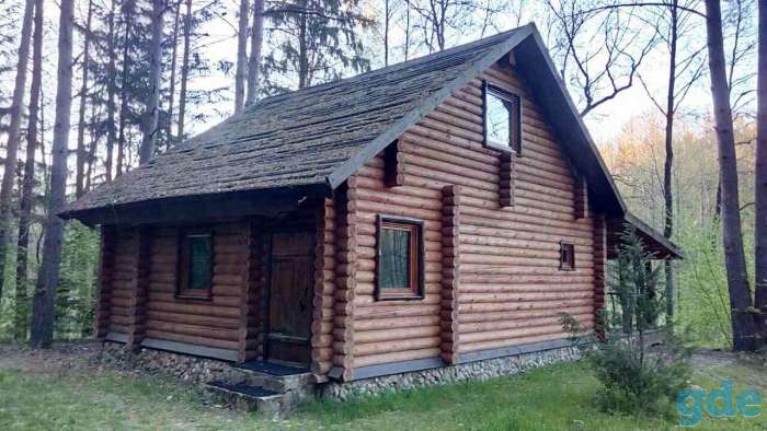 Отдых на берегу лесного озера, фотография 4