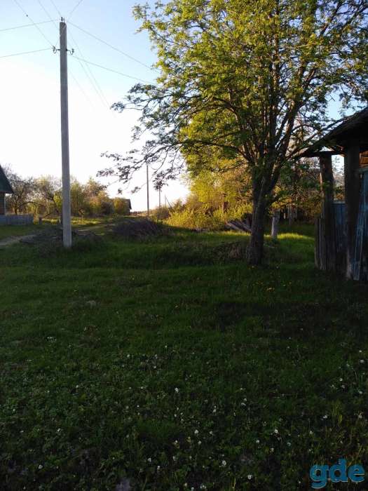 Срочно!!!, Минская область Крупский р-н Денисовичский с/с,д.Шинки, фотография 7