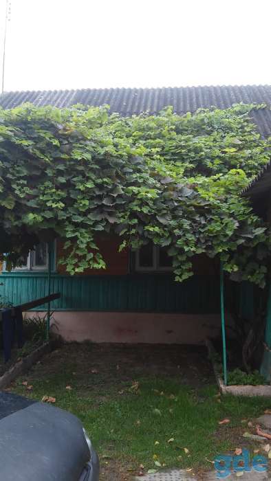 Продаю срочно, фотография 7