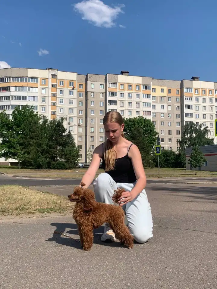 Хендлер в Минске, фотография 9