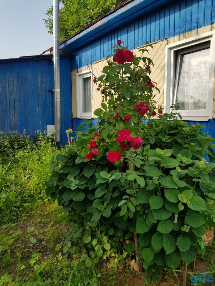 продажа, д. Кулаки, ул. Центральная д. 21, фотография 4