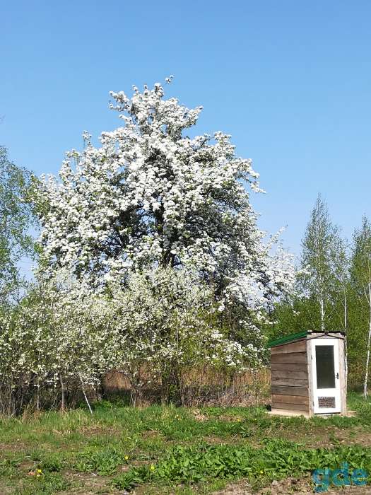 продажа дома, д.рябиновка, фотография 2