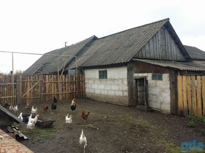 Продам дом в аг. Павловичи, фотография 5