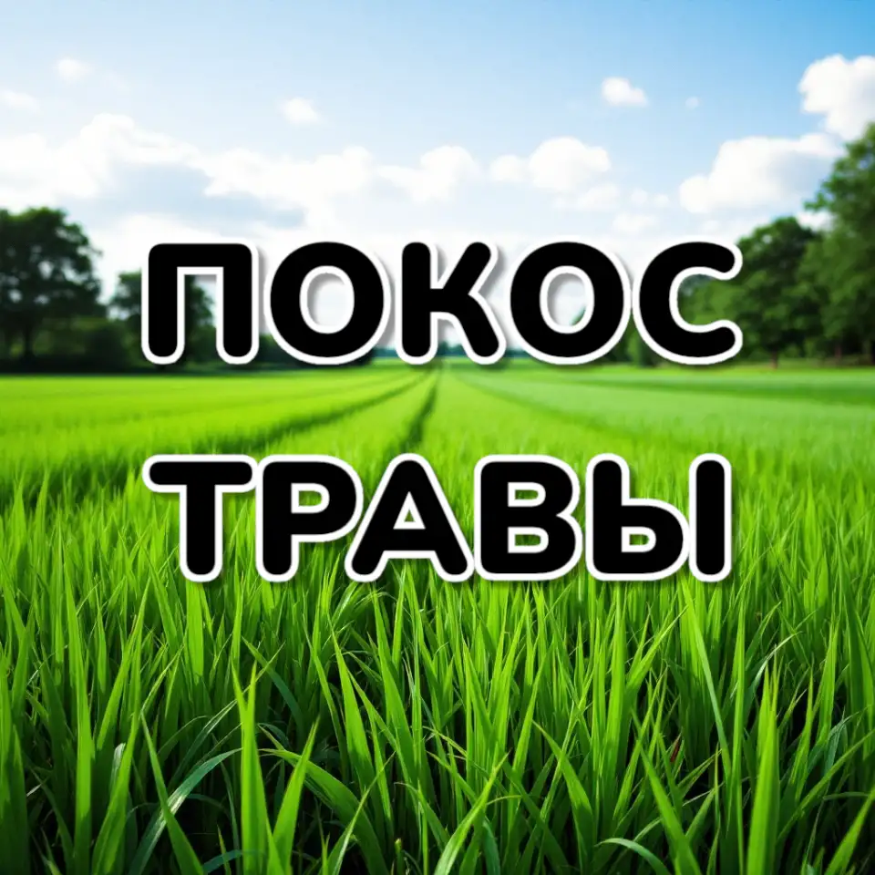 Покос травы триммером, фотография 1