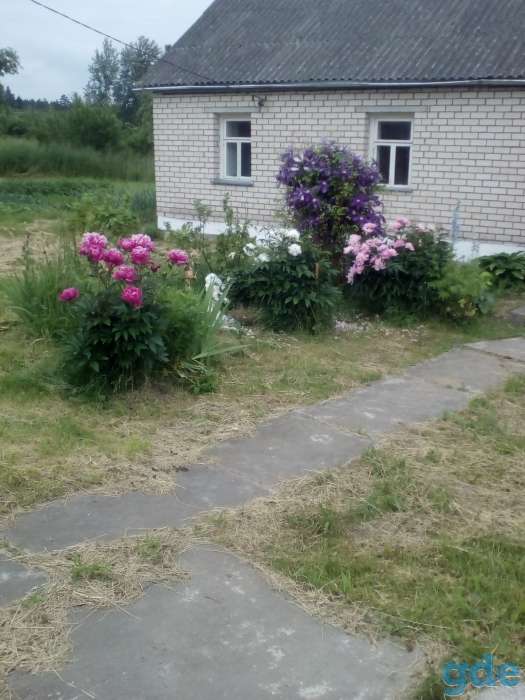 Продается дача в красивом тихом месте, д.Якубовичи  р-на Минской обл. ул Луговая д.31, фотография 5