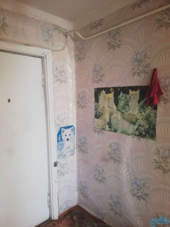 Дешевое жилье, Агр.Свенск Славгородского района могилевкой области, фотография 6