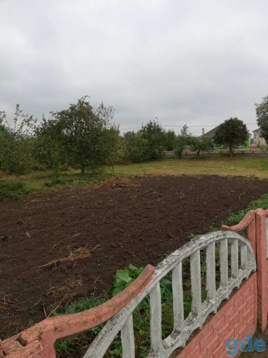 Продается дом в агрогородке, Гродненская обл., Ошмянский р-н, Борунский с/с, Боруны, ул. Гольшанская, 2, фотография 6