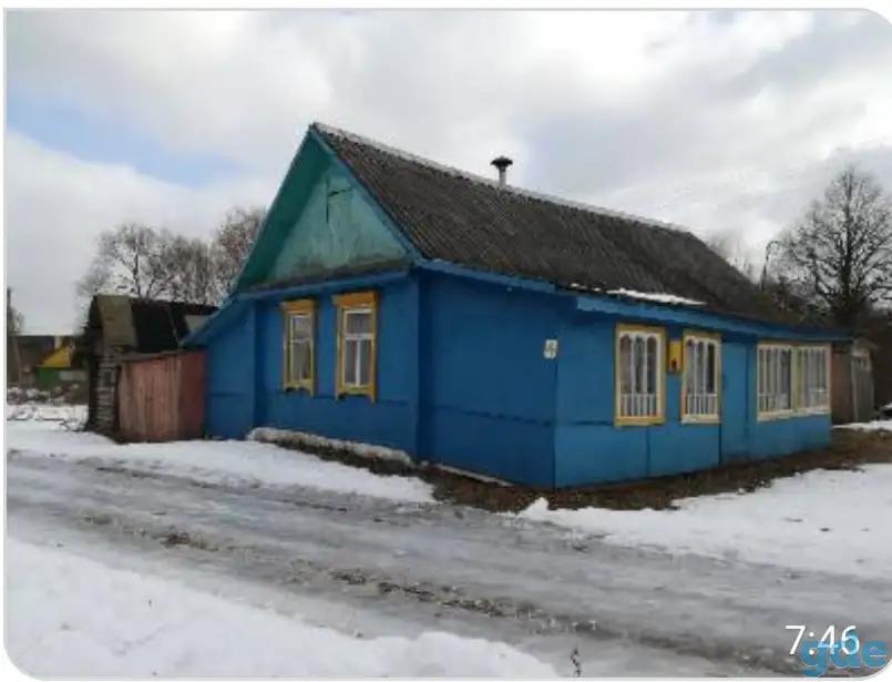 Дом, Витебская область, район, гомельский с /с, д. Туржец-2, фотография 4