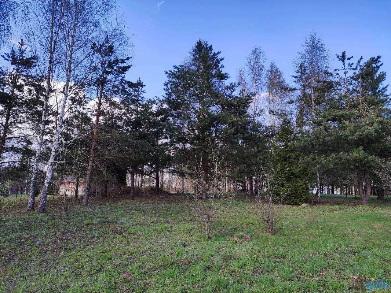 Продам участок в с/т. Криничное-94 (Столбцы), фотография 5