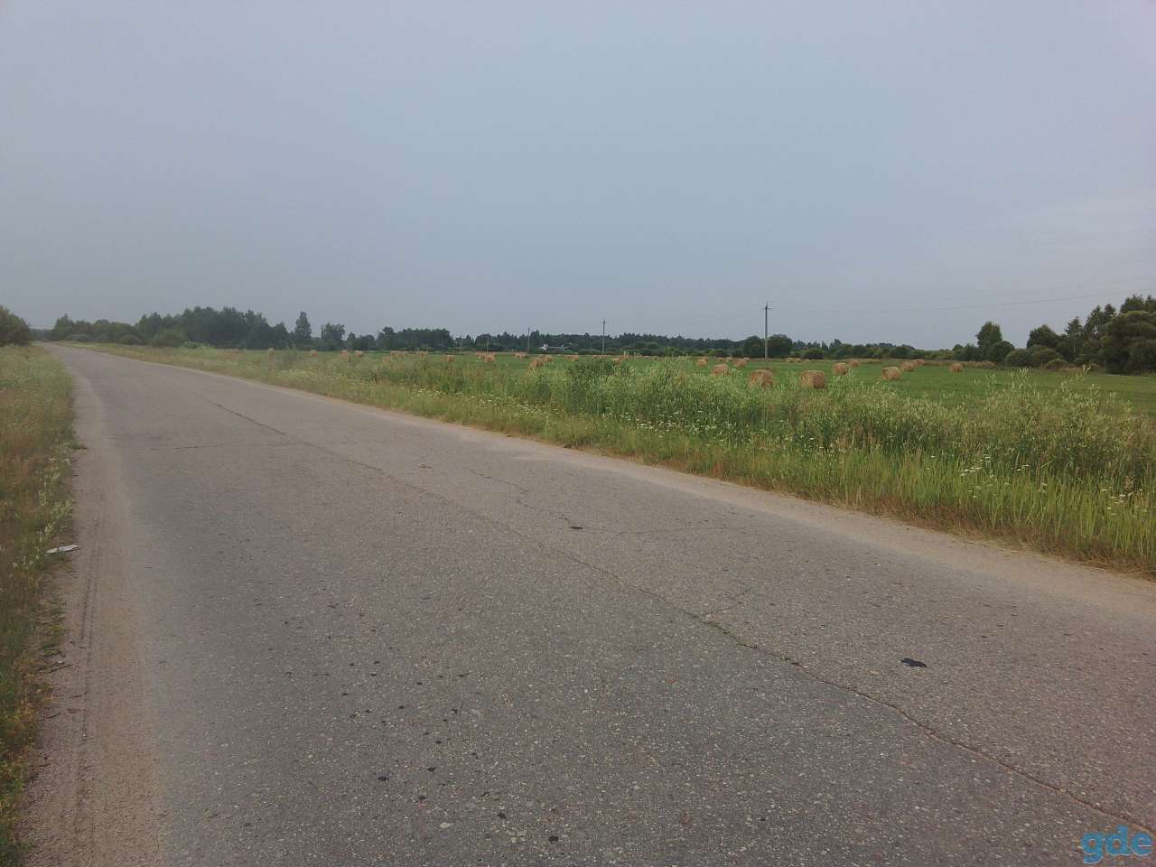 Продажа земли в Смоленской обл. (1 км. от границы с РБ), фотография 2