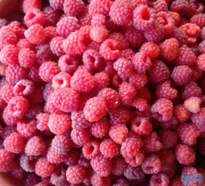 Продам СВЕЖУЮ МАЛИНУ, фотография 1
