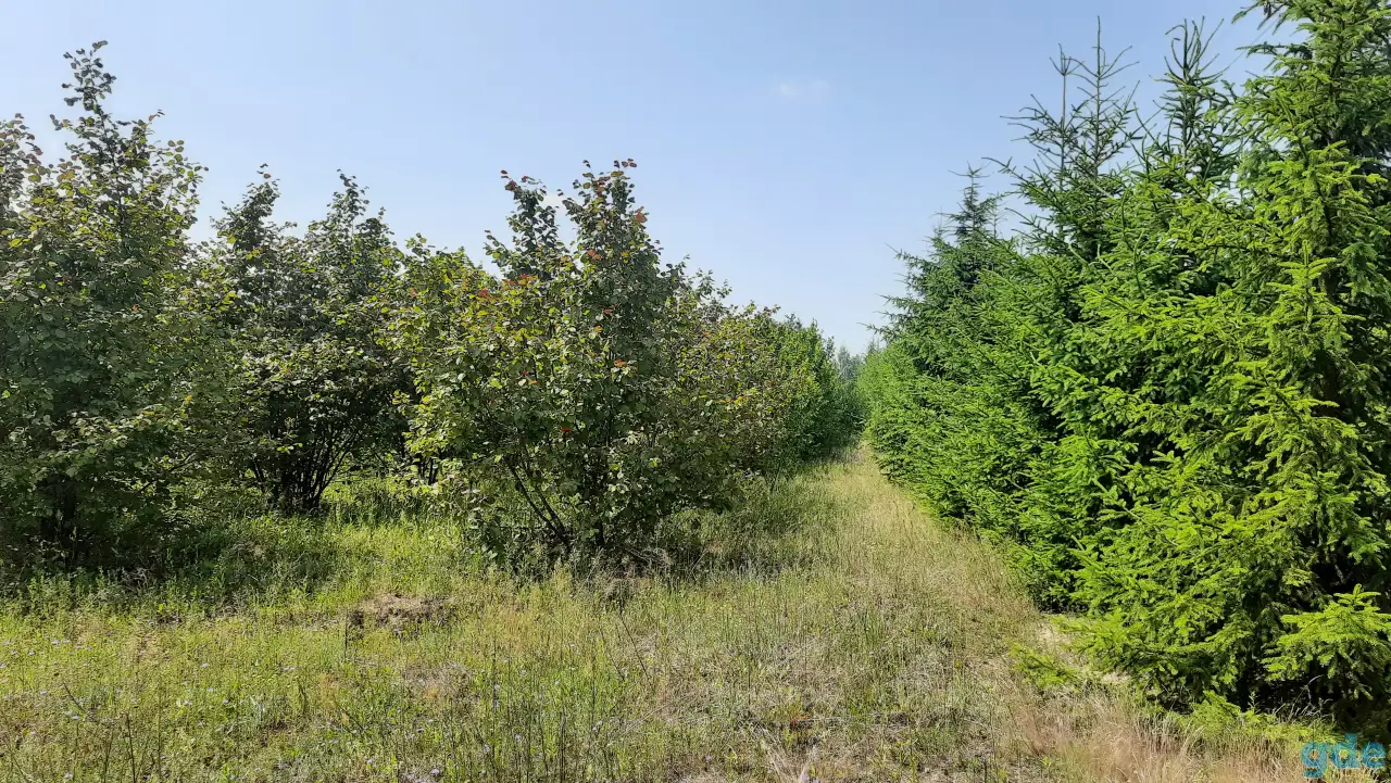 Продам фермерское хозяйство Перки, фотография 5