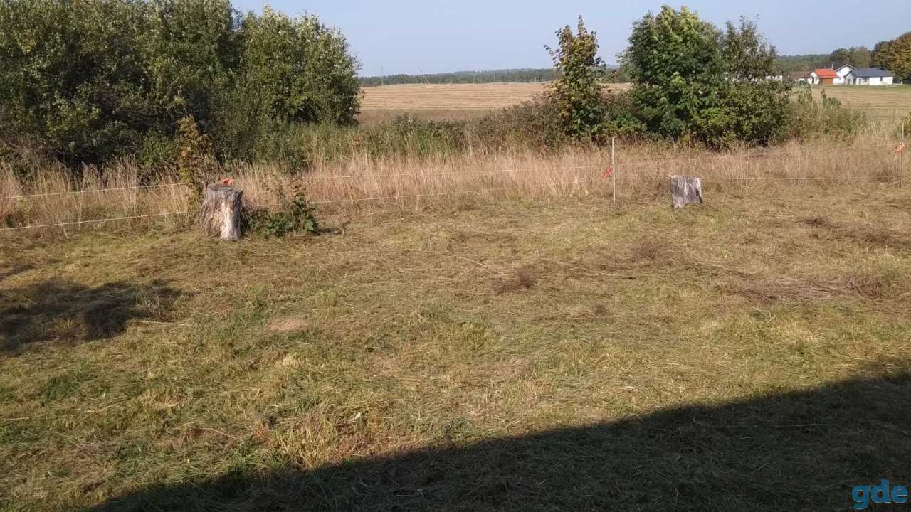 Продам участок 25 соток в д. Юржишки, Раковский с/с, фотография 5