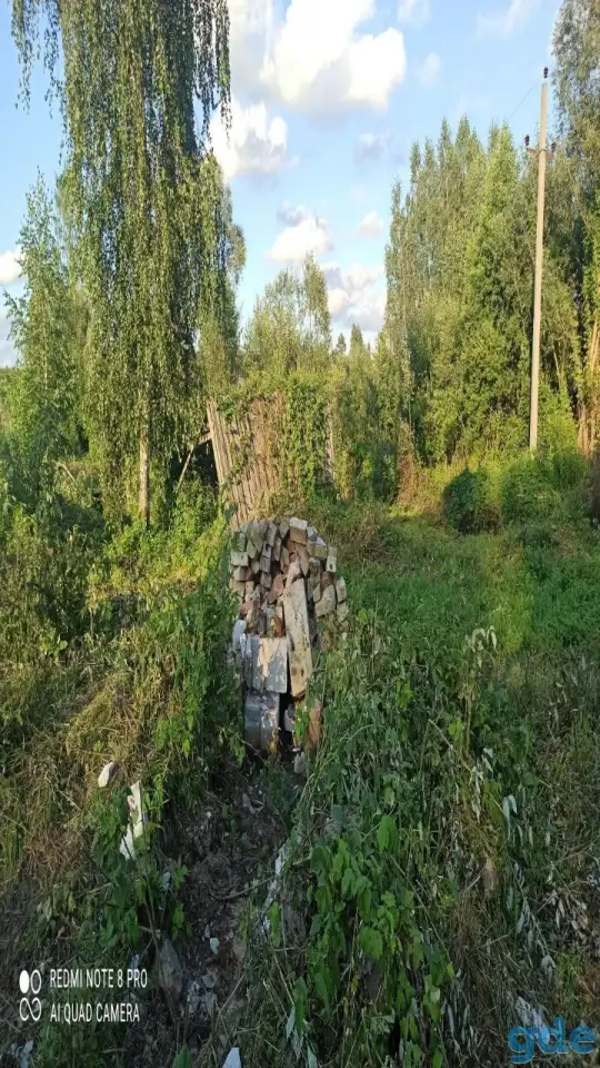 Дачный участок, Петушки Новики, фотография 1