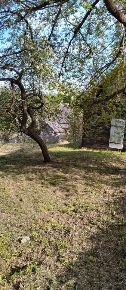 Лагуна в реки Березина, Свислочь ул. Березинская 3, фотография 2