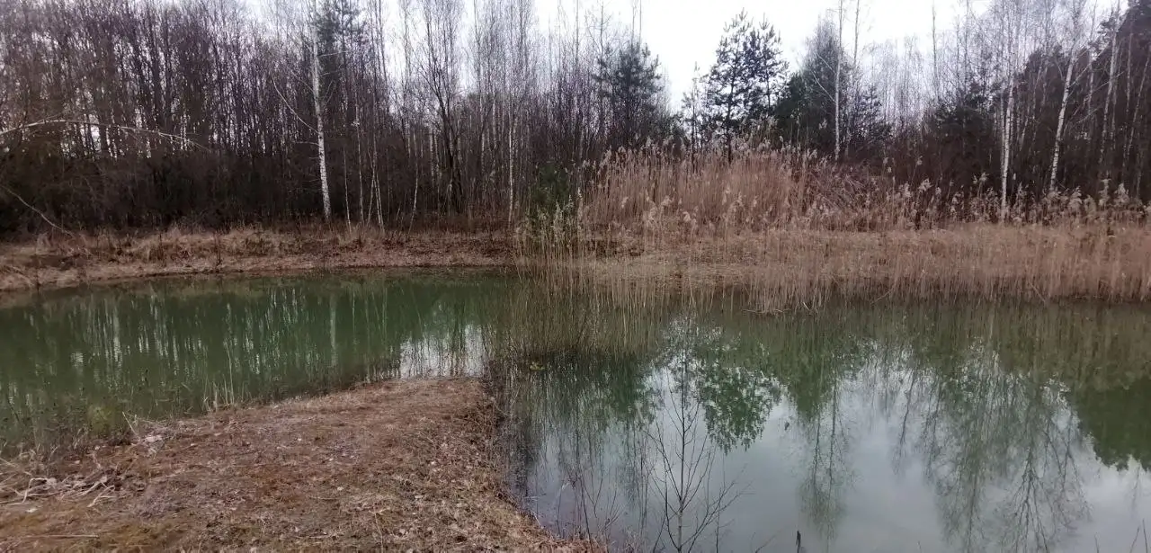 Участок кфх под Гродно для агроэкотуризма или сх, фотография 4