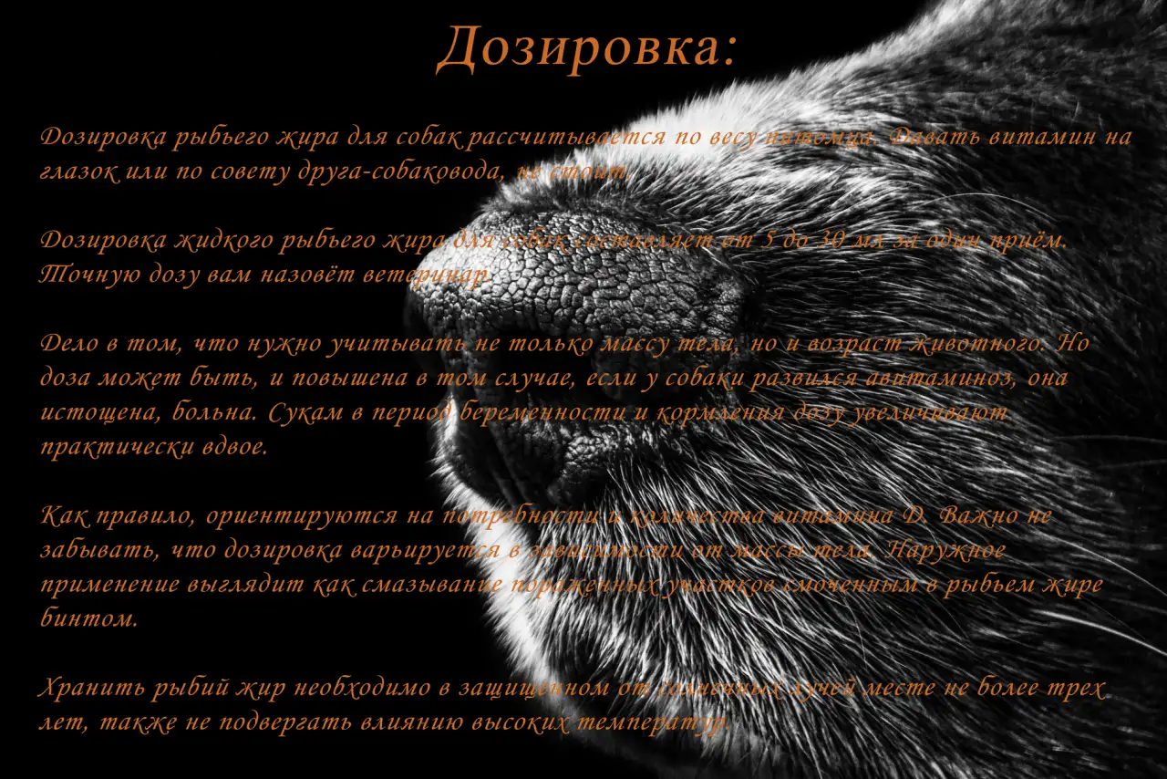 Масло из лосося камчатского SALMON OIL 100мл., фотография 3