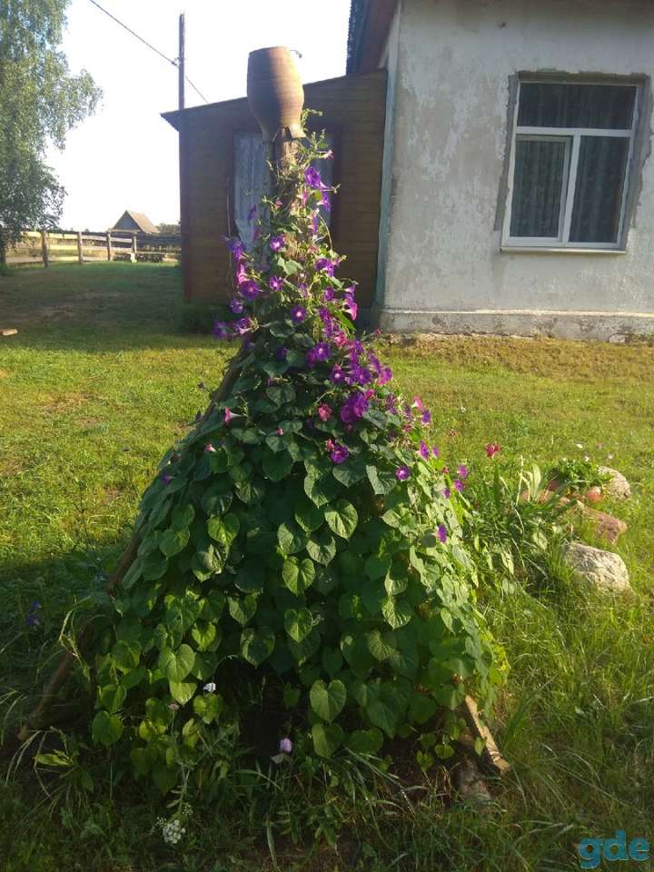 Дом в живописной деревне рядом с Неманом, р-н, д. Лотевка, фотография 3