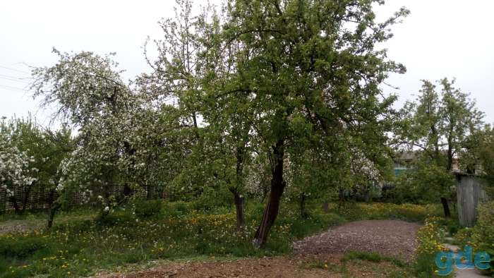 Две квартиры в частном доме, улица Дорошевича, фотография 10
