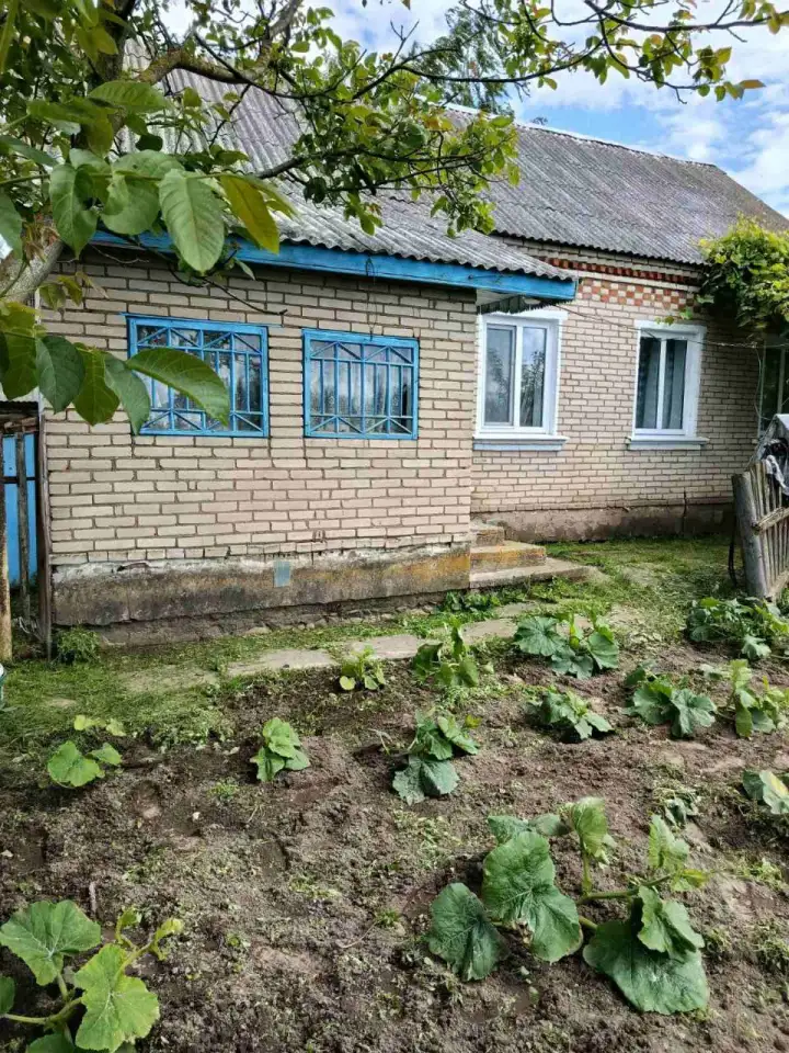 Дом в Слуцком районе продам, фотография 3