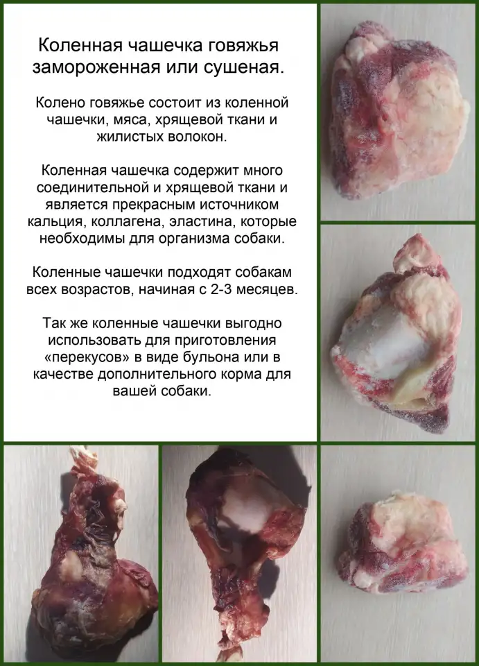 Натуральные лакомства для собак и кошек 100гр. Чашечка  колено говяжье, фотография 3