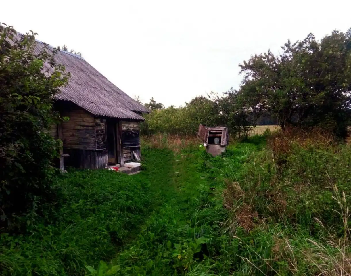 Продаётся участок с домом, Деревня Ёди 6, фотография 4