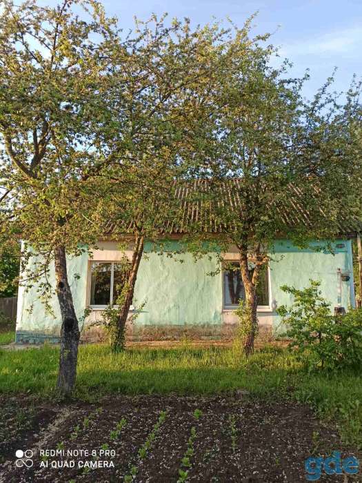 Дом в РБ д.Андраны Могилевской области, фотография 2
