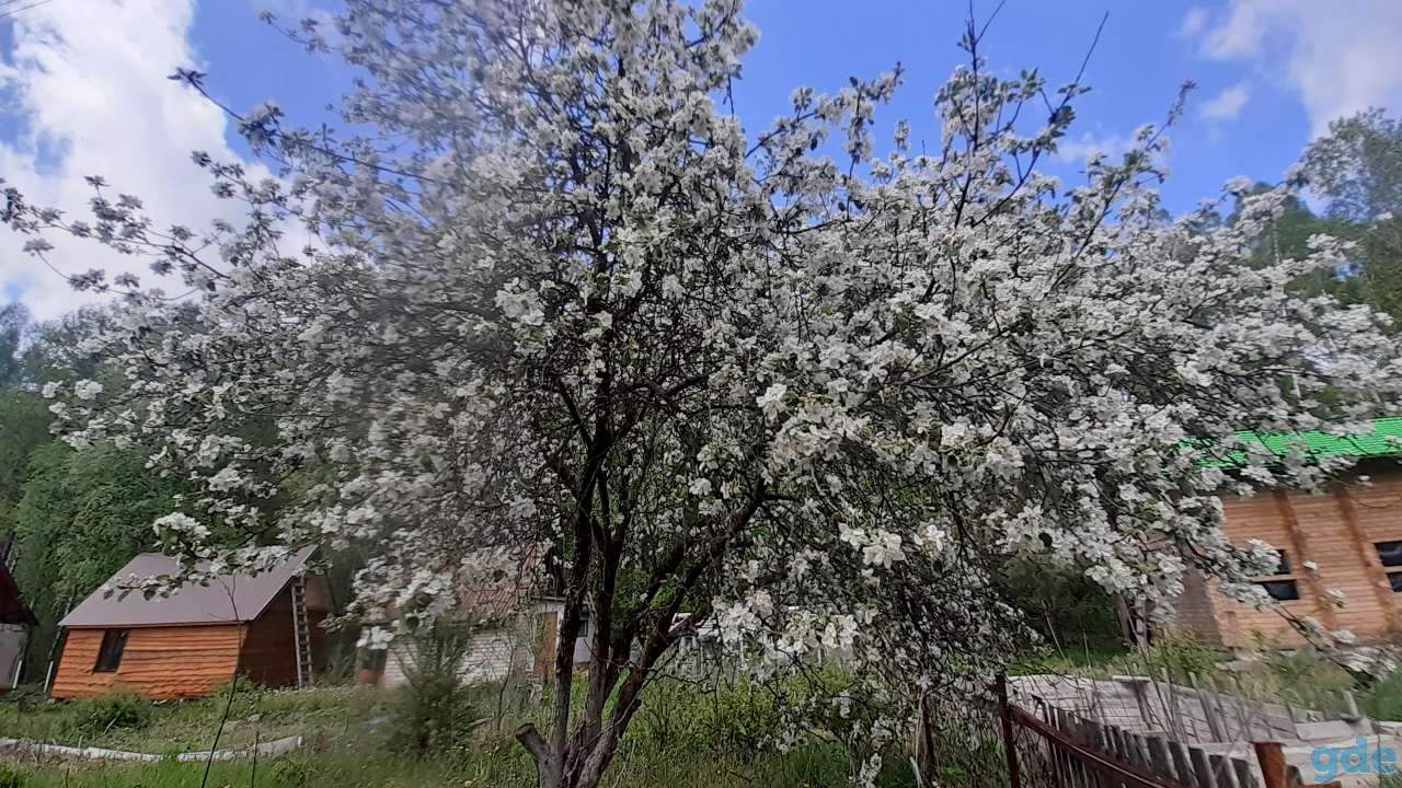 Дача, Пересады с/с ,СТ 
