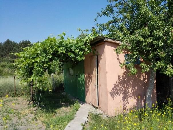 Продам дачу в Мозырском районе (в садовом товариществе Загорины), фотография 3